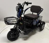 Трицикл GreenCamel Фродо SZBO (48V/60V 1000W R8) дифференциал