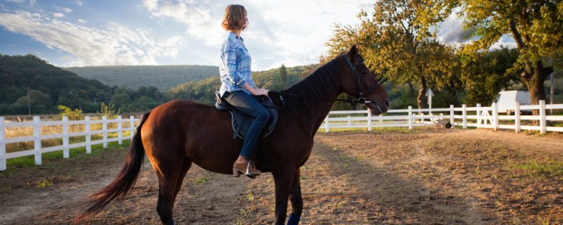 Польза иппотренажера для взрослых Польза иппотренажера для взрослых