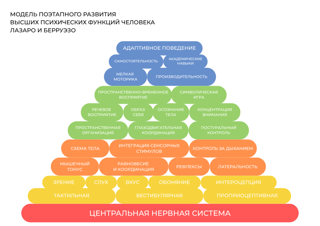 МОДЕЛЬ ПОЭТАПНОГО РАЗВИТИЯ ВЫСШИХ ПСИХИЧЕСКИХ ФУНКЦИЙ ЧЕЛОВЕКАЛАЗАРО И БЕРРУЭЗО, пирамида Лазаро Берруэзо