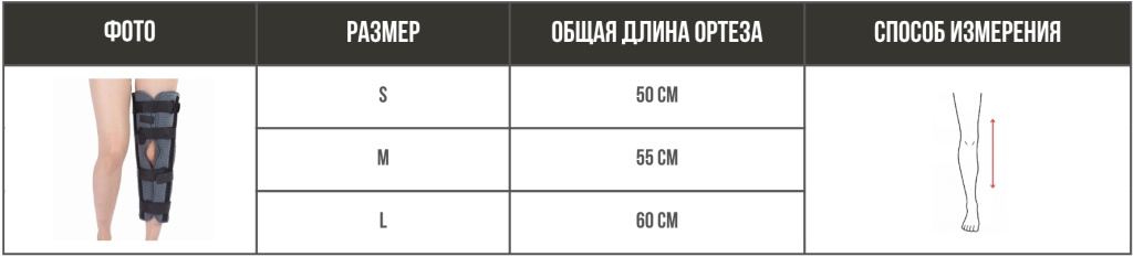 vitamove-el-10-1.jpg