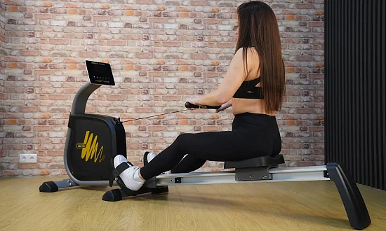 Гребной тренажер Hasttings Wega R100