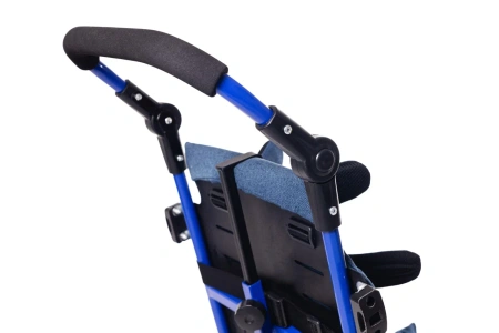 Санки-коляска для детей с ДЦП Raft Bike