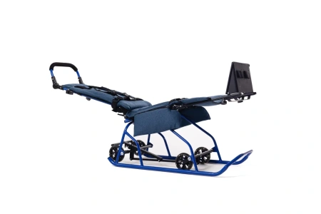 Санки-коляска для детей с ДЦП Raft Bike