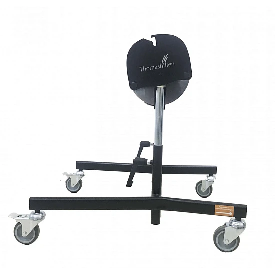 Детская коляска Thomashilfen EASyS Advantage S на комнатной раме Z