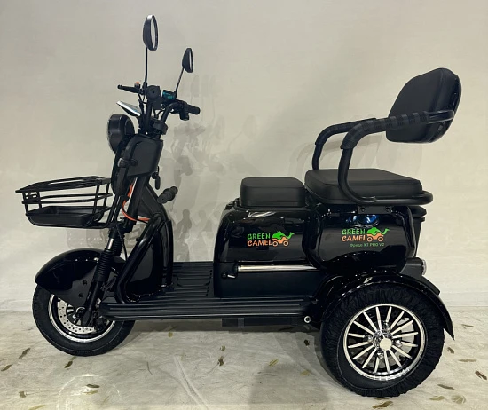 Трицикл GreenCamel Фродо X7 PRO V2 (60V20Ah 800W R10) дифференциал