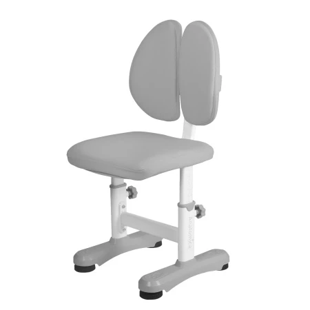 Растущий стул Anatomica Ergo Duos серый
