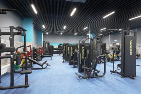 Жим от груди с независимыми рычагами Hasttings Digger HD035-1