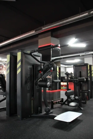 Тренажер для ягодичных мышц стоя (мульти-хип) Hasttings Digger HD017-1