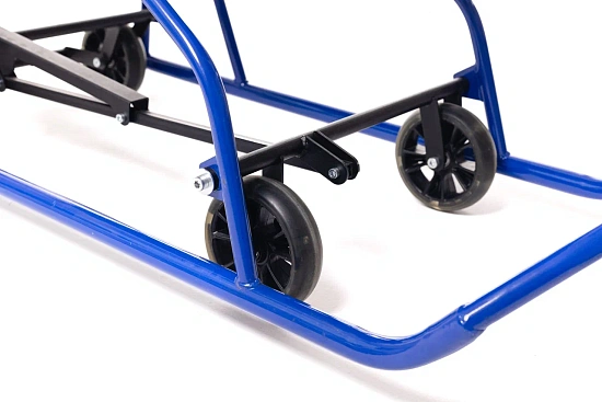 Санки-коляска для детей с ДЦП Raft Bike