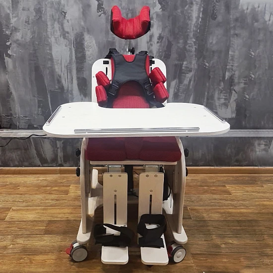 Реабилитационное кресло (опора для сидения) ЗУБРЁНОК ЦСИЕ.30.740