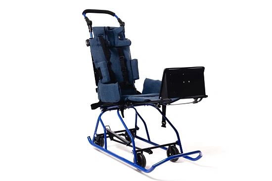 Санки-коляска для детей с ДЦП Raft Bike