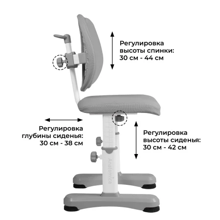 Растущий стул Anatomica Ergo Duos серый