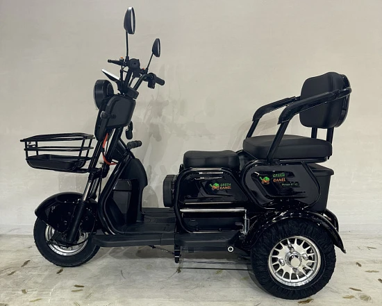 Трицикл GreenCamel Фродо X7 V2 (48V20Ah 500W R8) дифференциал