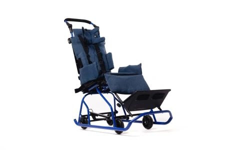 Санки-коляска для детей с ДЦП Raft Bike