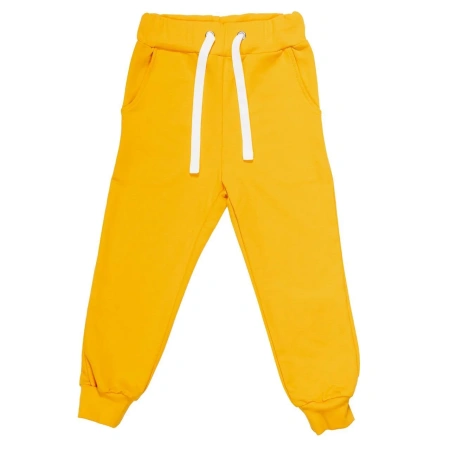 Спортивные штаны GT Dress