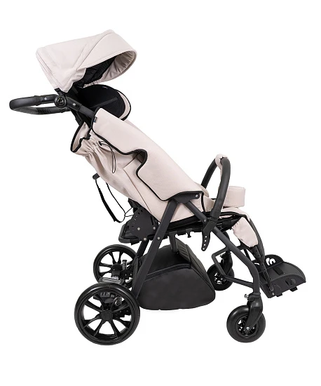 Детская прогулочная коляска JoyDis Dambo