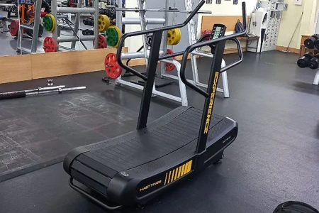 Механическая беговая дорожка HASTTINGS EXPERIENCE CMT800