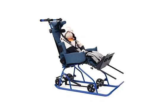 Санки-коляска для детей с ДЦП Raft Bike