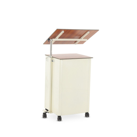 Тумбочка прикроватная из пластика с поворотной столешницей Мед-Мос ПТ-001 (BLZ030 ПТ-004Н) Тумбочка прикроватная из пластика с поворотной столешницей Мед-Мос ПТ-001 (BLZ030 ПТ-004Н)