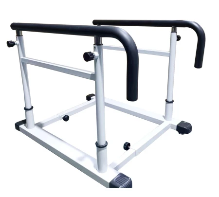 Беговая дорожка AMF 8241S + поручни D1