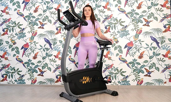 Велотренажер Hasttings Wega S300