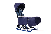 Санки-коляска для детей с ДЦП Raft Bike