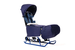 Санки-коляска для детей с ДЦП Raft Bike