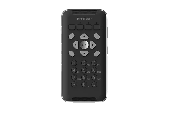Тифлофлешплеер HIMS SensePlayer OCR