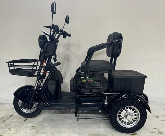 Трицикл GreenCamel Фродо X7 V2 (48V20Ah 500W R8) дифференциал