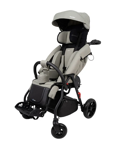 Детская прогулочная коляска JoyDis Dambo