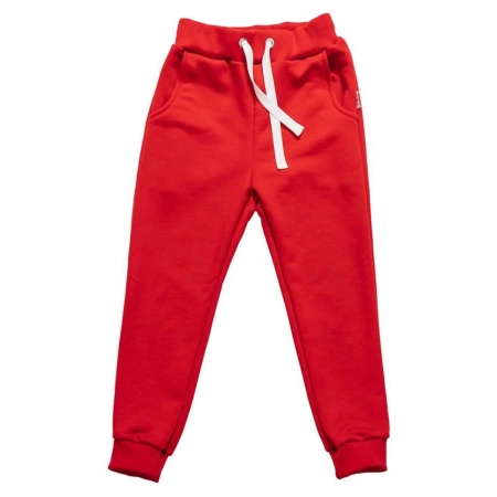 Спортивные штаны GT Dress