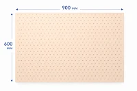 Лист низкотемпературного термопластика с полиуретановым покрытием Polyeasy