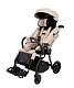 Детская прогулочная коляска JoyDis Dambo