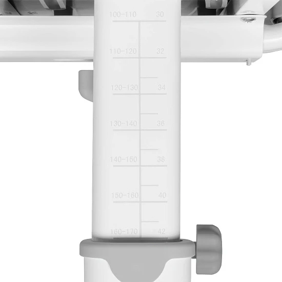 Растущий стул Anatomica Ergo Duos серый