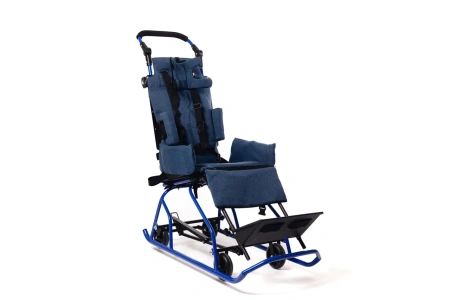 Санки-коляска для детей с ДЦП Raft Bike