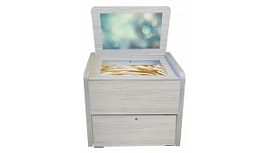 Сундучок логопеда 