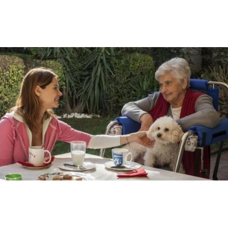 Складной механический подъемник BodyUp Evolution