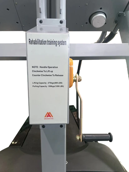 Беговая дорожка AMF 9643Z