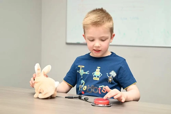 Кнопочный переключатель (красный)