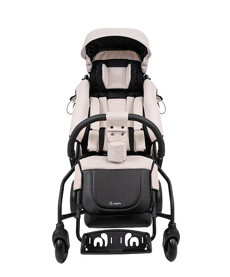 Детская прогулочная коляска JoyDis Dambo