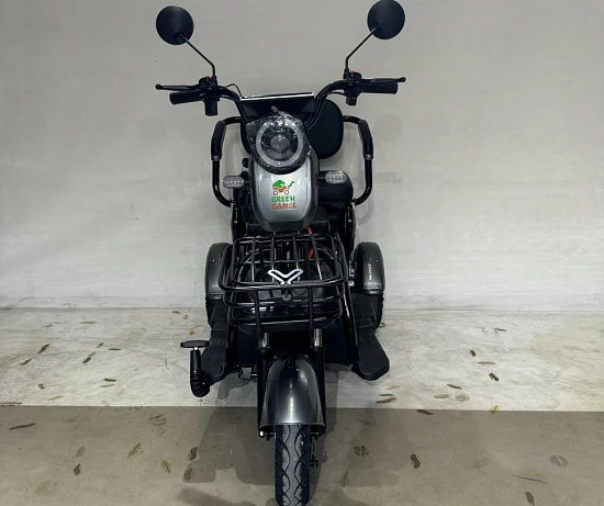 Трицикл GreenCamel Фродо X7 V2 (48V20Ah 500W R8) дифференциал