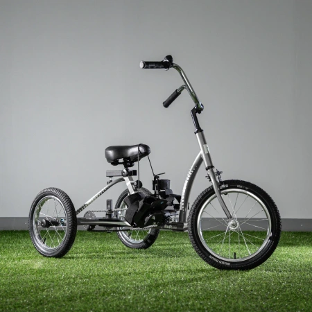 Велосипед для детей с ДЦП RAFT BIKE размер 2
