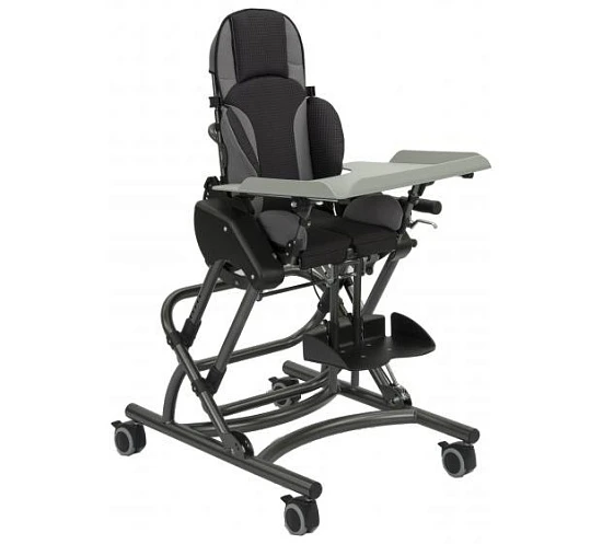 Кресло-коляска для детей с ДЦП HOGGI BINGO Evolution COBRA на домашней раме