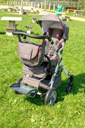 Детская инвалидная кресло-коляска MyWam Grizzly