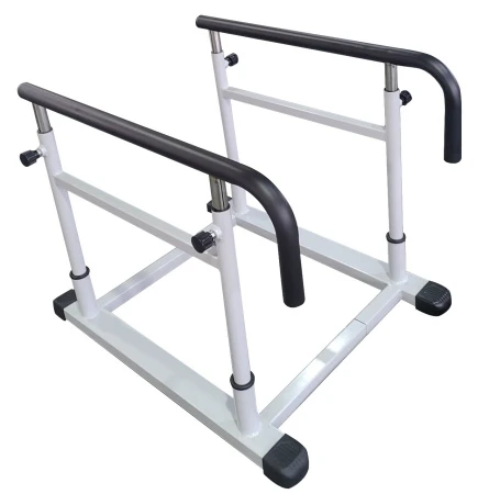 Беговая дорожка AMF TX001 + поручни D1