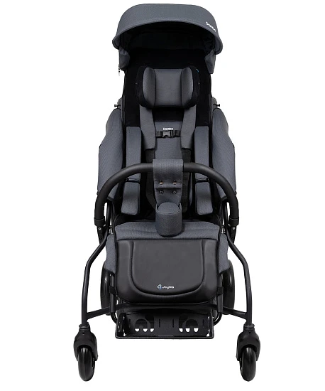 Детская прогулочная коляска JoyDis Dambo