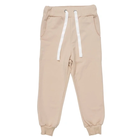 Спортивные штаны GT Dress