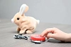 Игрушка «Кролик»