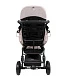 Детская прогулочная коляска JoyDis Dambo
